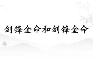 剑锋金命和剑锋金命相配吗