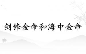 剑锋金命和海中金命能在一起吗