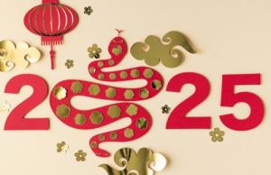 2025蛇年五行属什么命