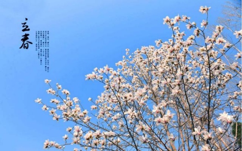 2025年躲春时间是几点到几点