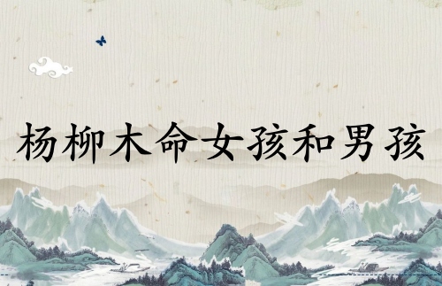 杨柳木命女孩和杨柳木命男孩