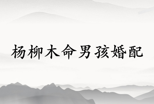 杨柳木命男孩和什么命相配