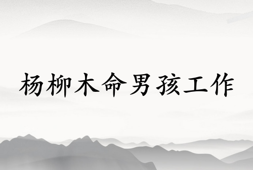 杨柳木命男孩适合什么工作