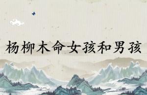 杨柳木命女孩和杨柳木命男孩