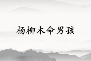 杨柳木命男孩命运如何