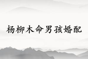 杨柳木命男孩和什么命相配