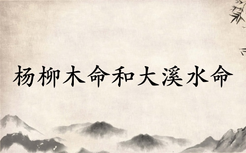 杨柳木命和大溪水命相合吗