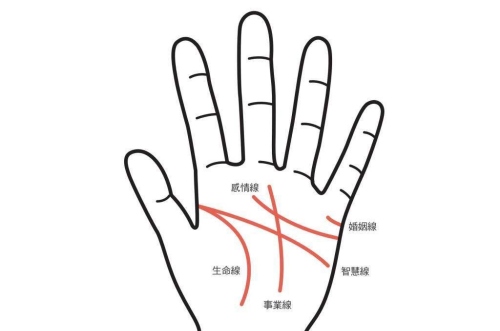 没有感情线的手相是怎么回事