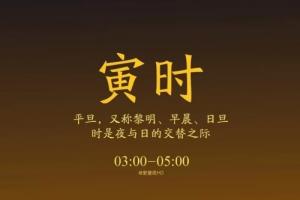 寅时对应什么脏器