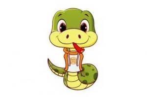 89年属什么生肖配对最佳