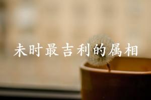 未时最吉利的三个属相