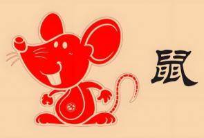 1996年属鼠是什么命