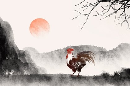 苦鸡一般生在几月