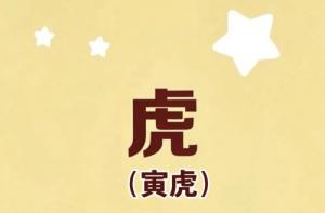 属虎的犯太岁佩戴什么