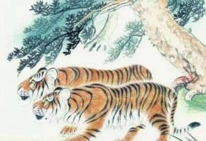 属虎的佩戴什么最旺