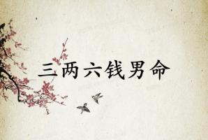 三两六钱男命最正确的解释