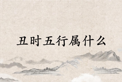 丑时五行属什么