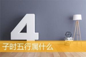 子时五行属什么