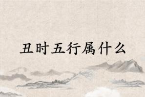 丑时五行属什么