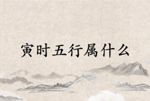 寅时五行属什么