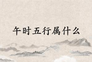 午时五行属什么