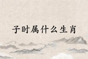 子时属什么生肖