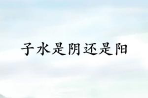 子水是阴还是阳