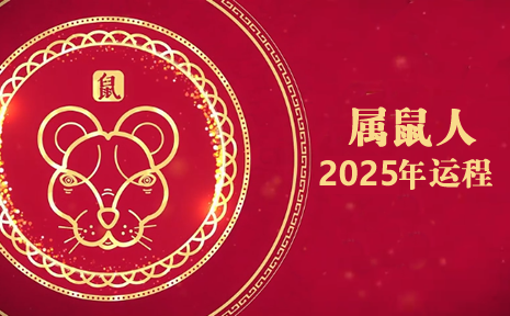 属鼠今年运势2025年运势如何