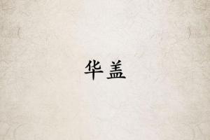 华盖星在哪柱力量大