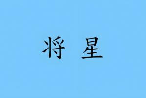八字日柱将星是什么意思
