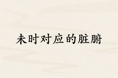 未时对应哪个脏腑