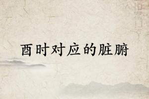 酉时对应什么脏腑