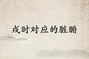 戌时对应什么脏腑