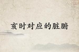 亥时是什么经络当令