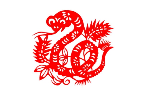 属蛇和属虎的合不合
