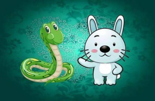属蛇和属兔的合不合