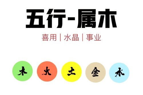 五行喜木适合做什么行业