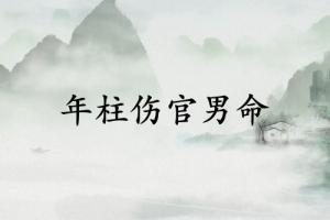 年柱伤官男命代表什么