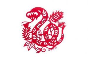 属蛇的人一生命运如何