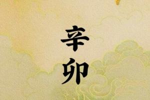 辛卯日柱是上等日柱吗