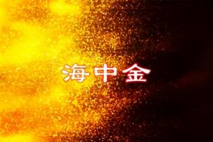 海中金命适合在北方工作吗