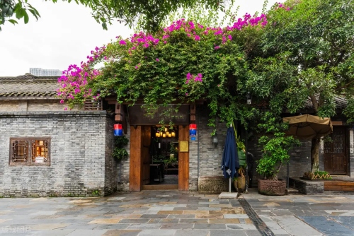大门外种什么树对风水好又招财