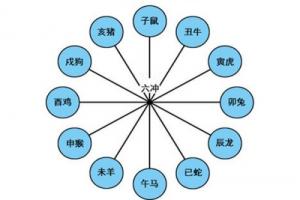 地支相冲会有什么结果