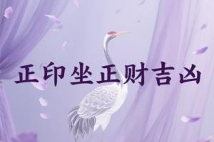 正印坐正财是吉还是凶