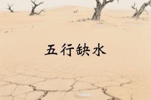 五行缺水的女人适合什么行业