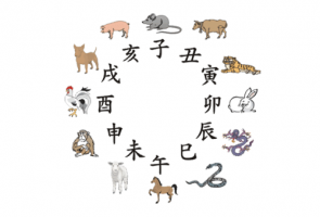 12生肖出生年月与五行对照表