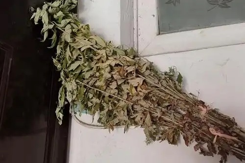 干艾草挂门上最忌讳三个原因