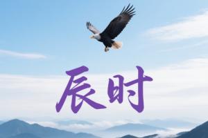 辰时女命最旺的属相