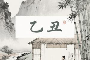 乙丑年出生的人的命运