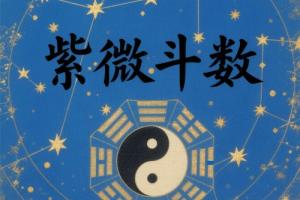 紫微斗数各星详解表格